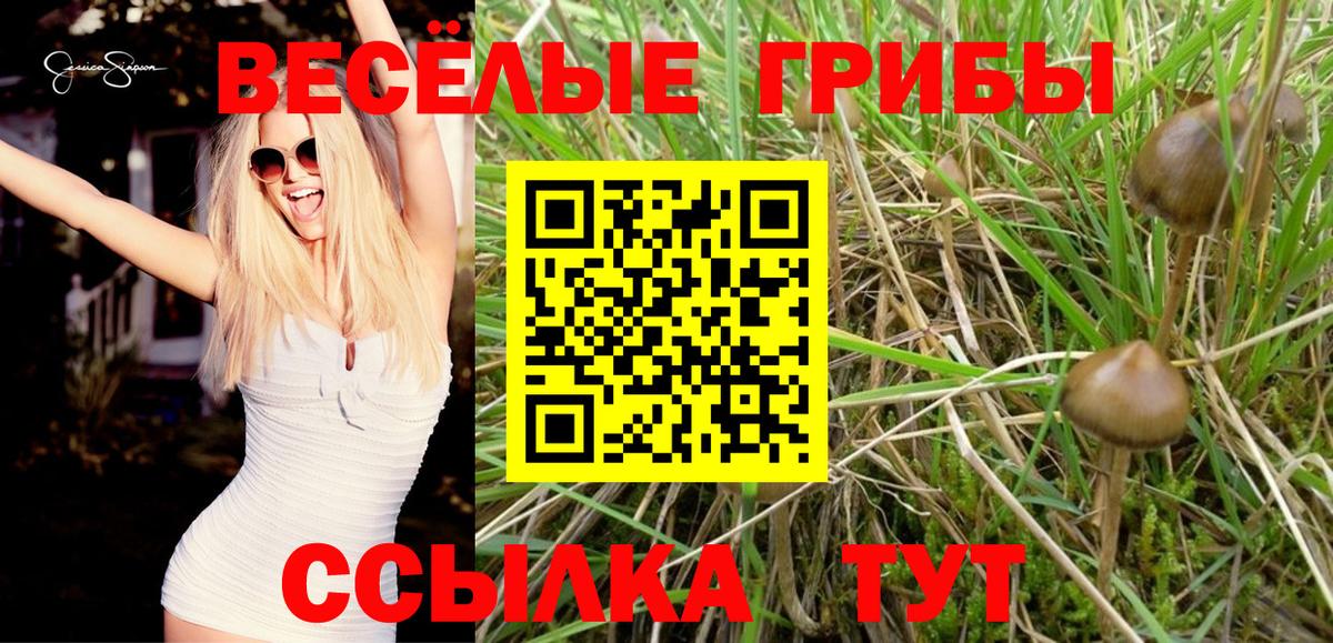 Псилоцибиновые грибы ЛСД  Псилоцибиновые грибы Magic Shrooms  Дмитров  Вход с VPN 