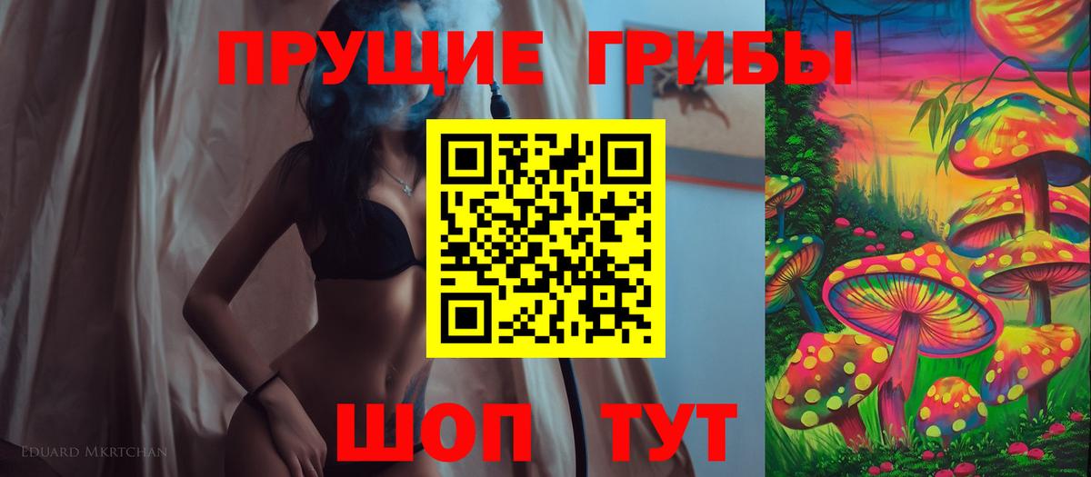 Галлюциногенные грибы Psilocybine cubensis Дмитров